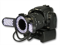 Canon Rebel XTi (Canon EOS 400D)